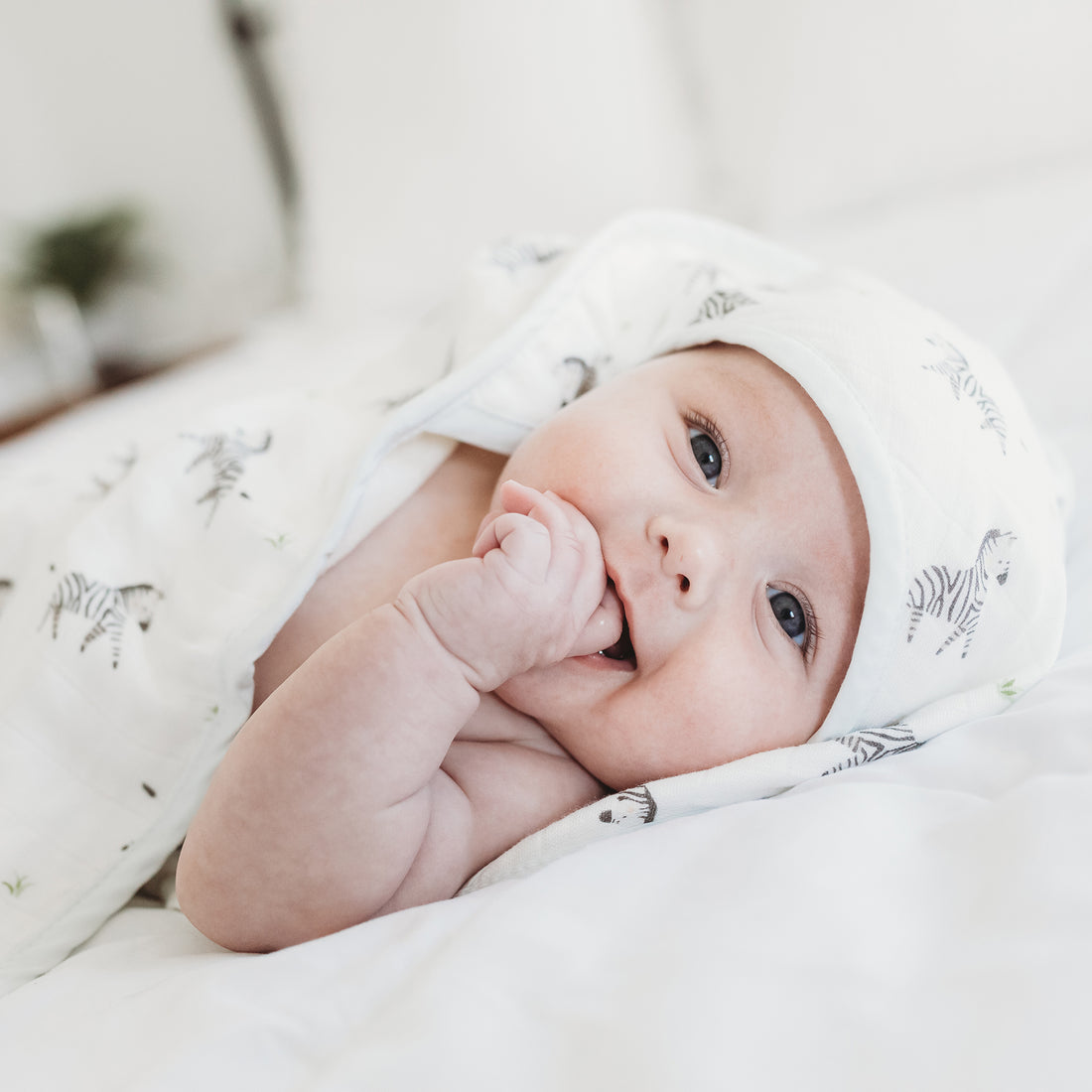 How to Choose the Right Baby Towel