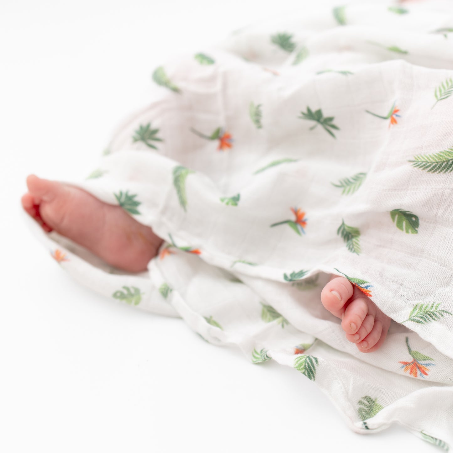 Bird of Paradise Swaddle