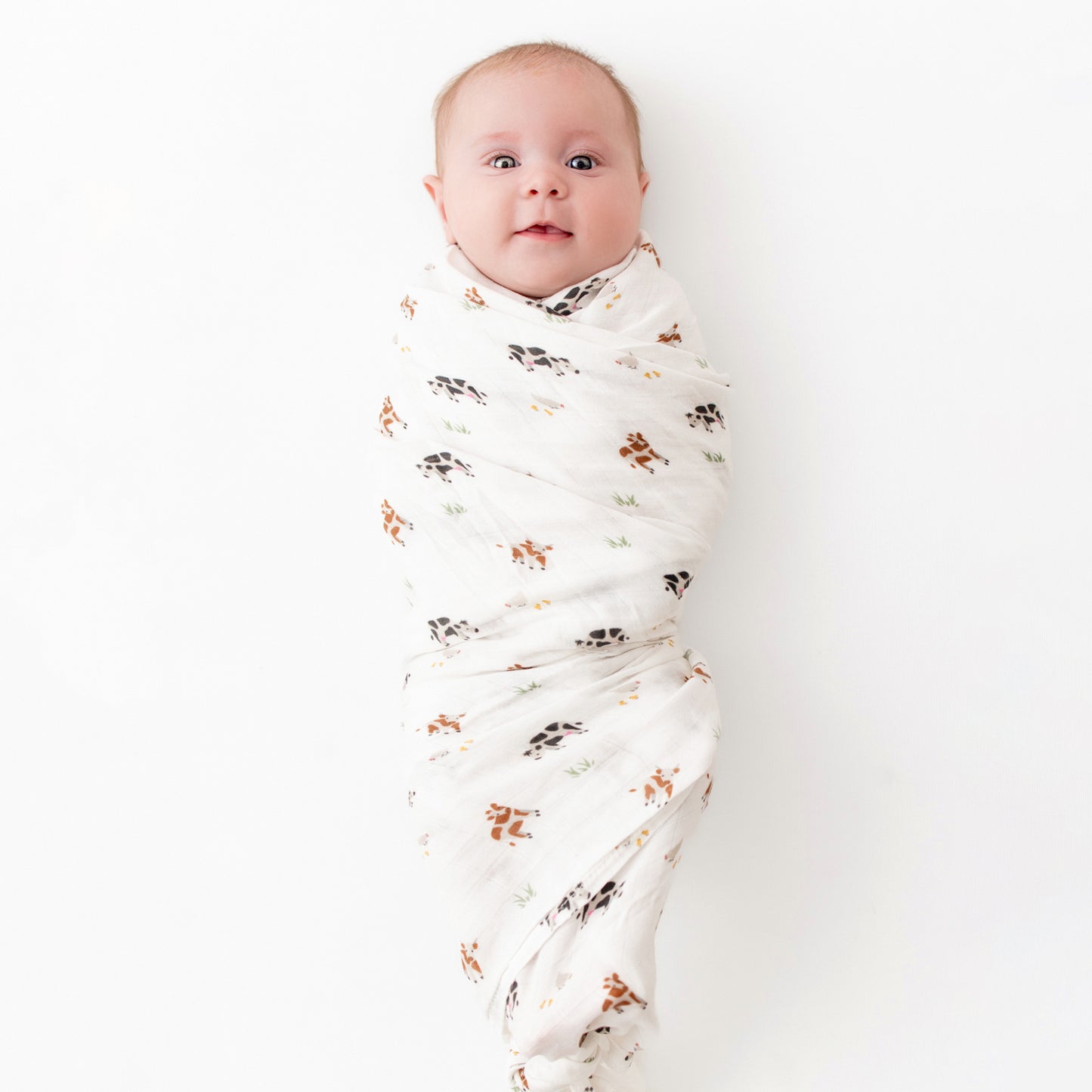 Cow Swaddle