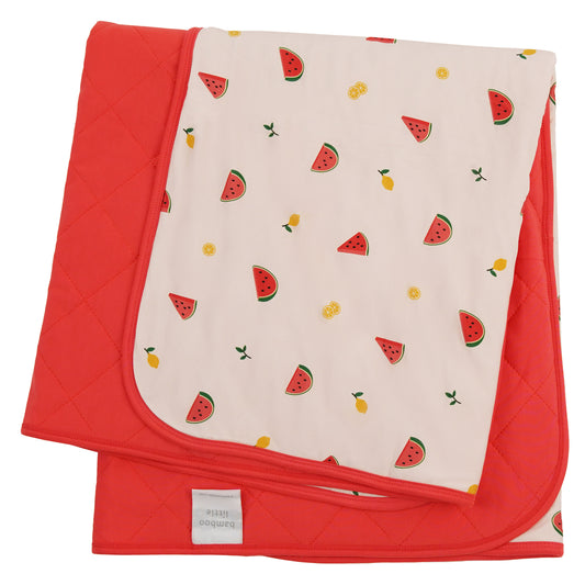 Watermelon Baby Blanket