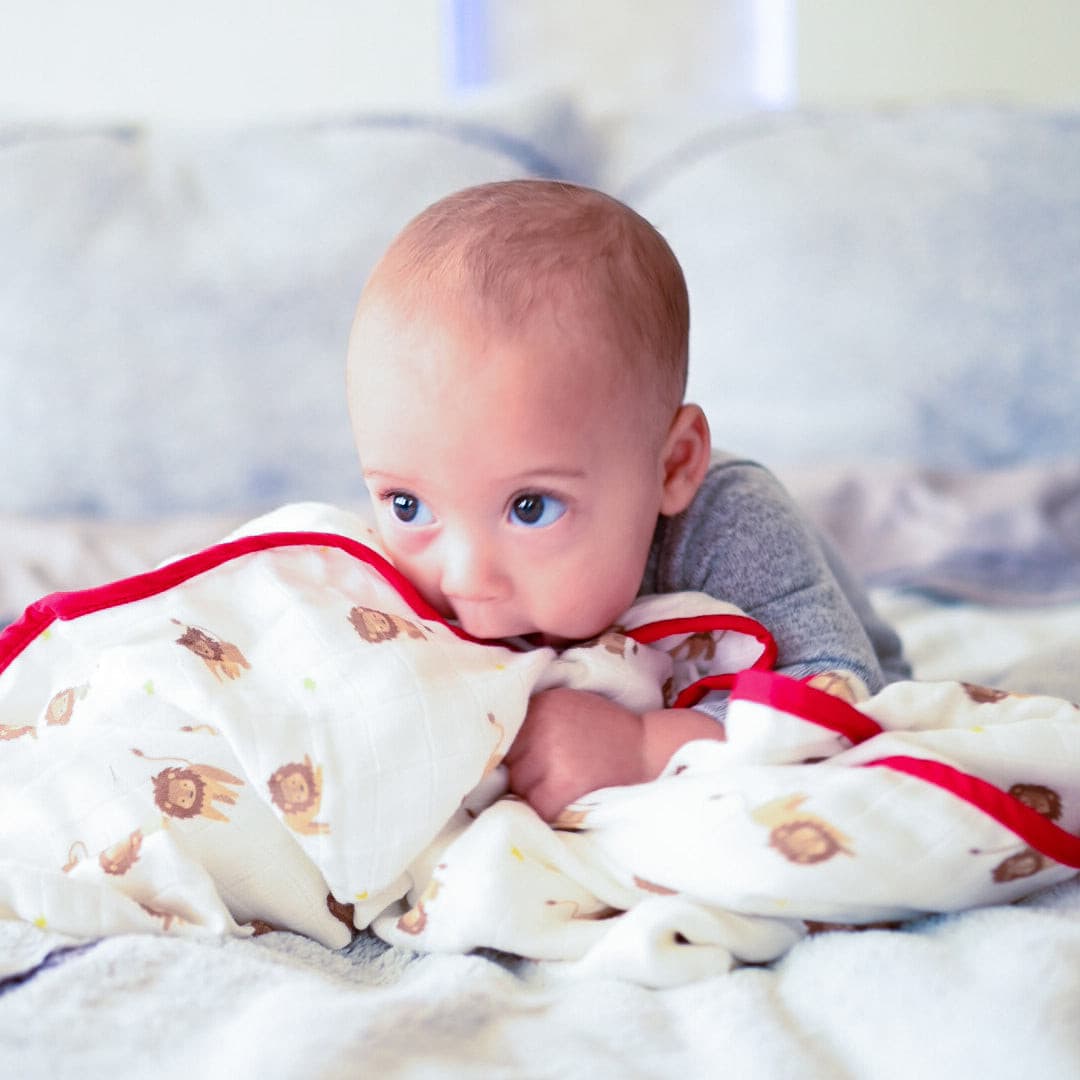 Lion cheap baby blanket